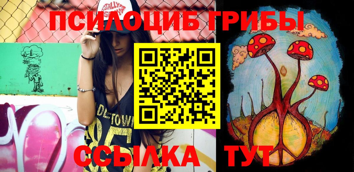 Галлюциногенные грибы Psilocybine cubensis  Вход с VPN  Азов  Псилоцибиновые грибы GOLDEN TEACHER 